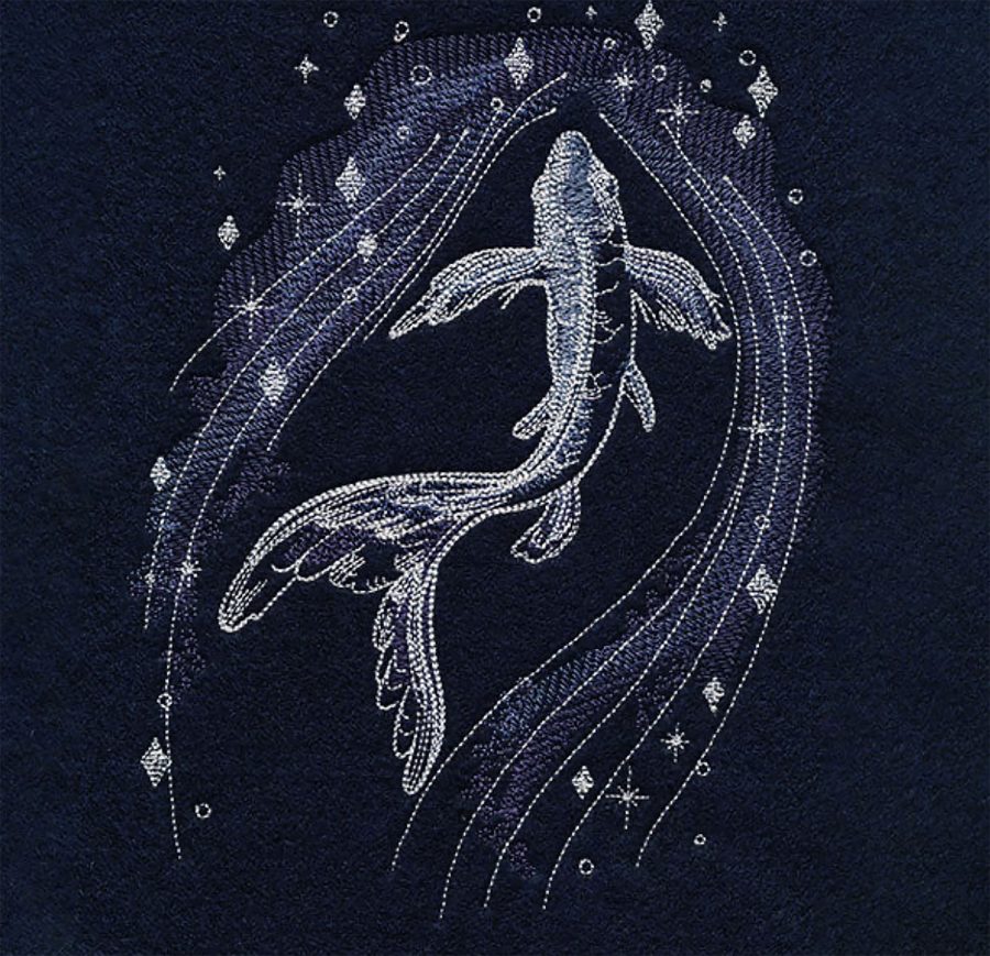 Celeste Innov-er CX1e broderimaskin - Bilde 7